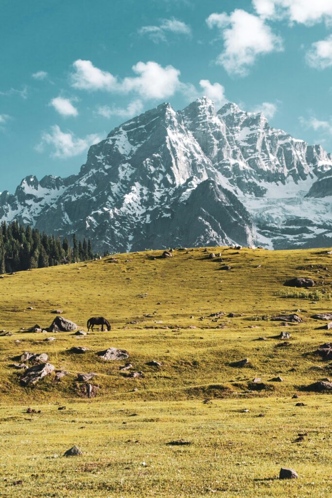 Jammu & Kashmir