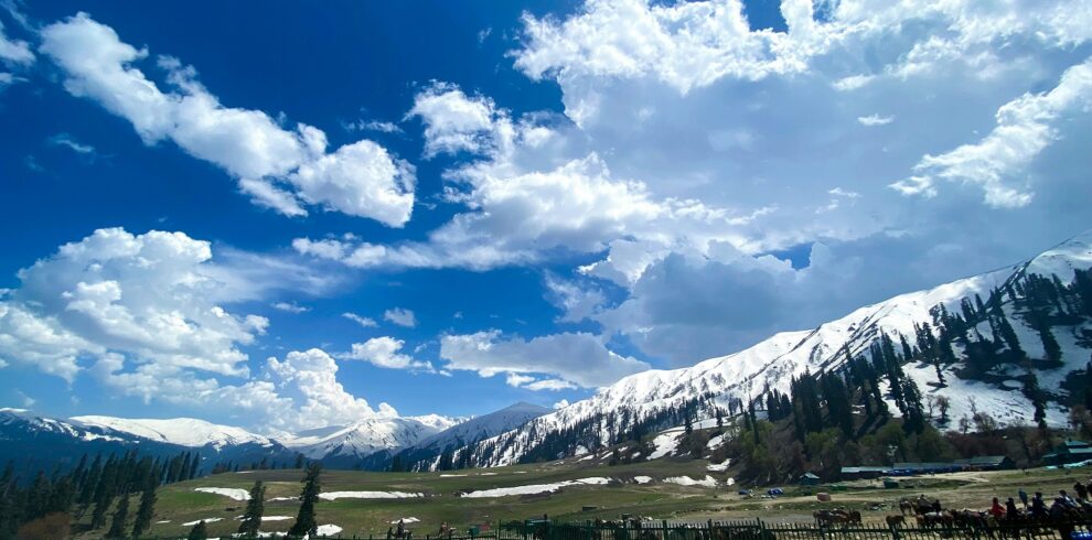 Jammu & Kashmir