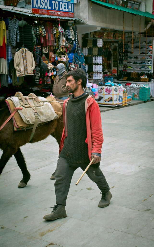 Kasol