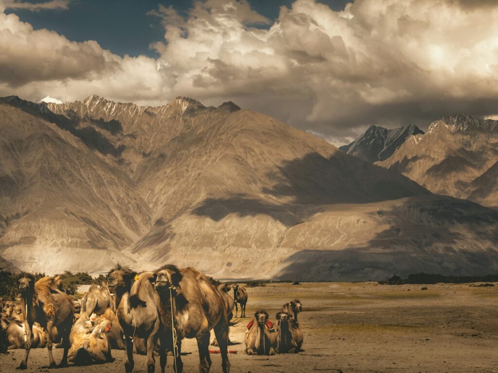Leh Ladakh