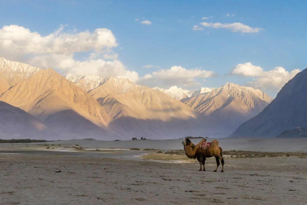 Leh Ladakh
