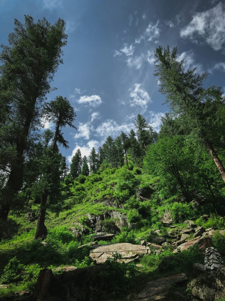 Jammu & Kashmir
