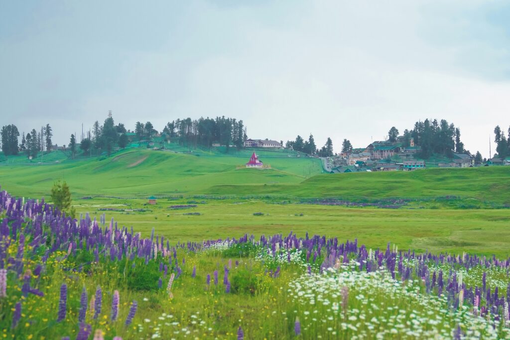 Jammu & Kashmir