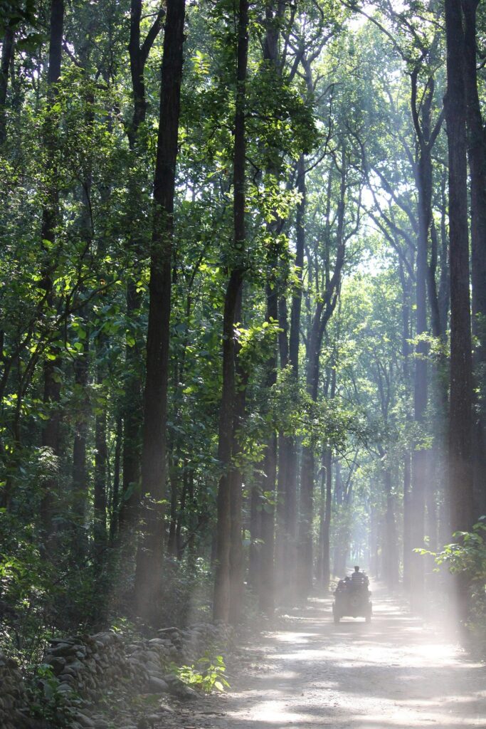 Jim Corbett