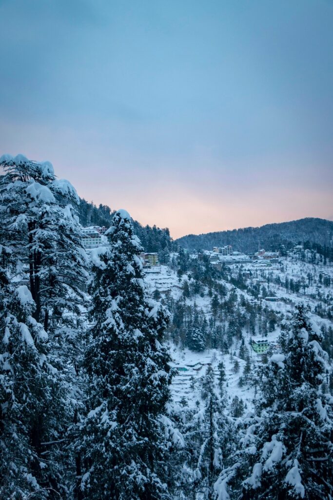 Shimla