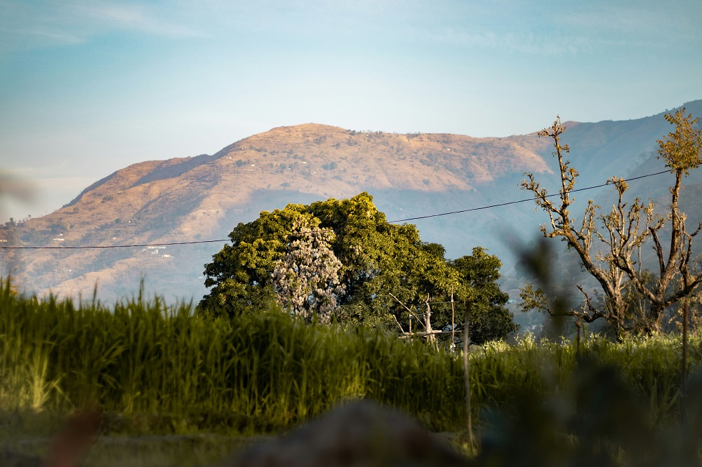 Jim Corbett