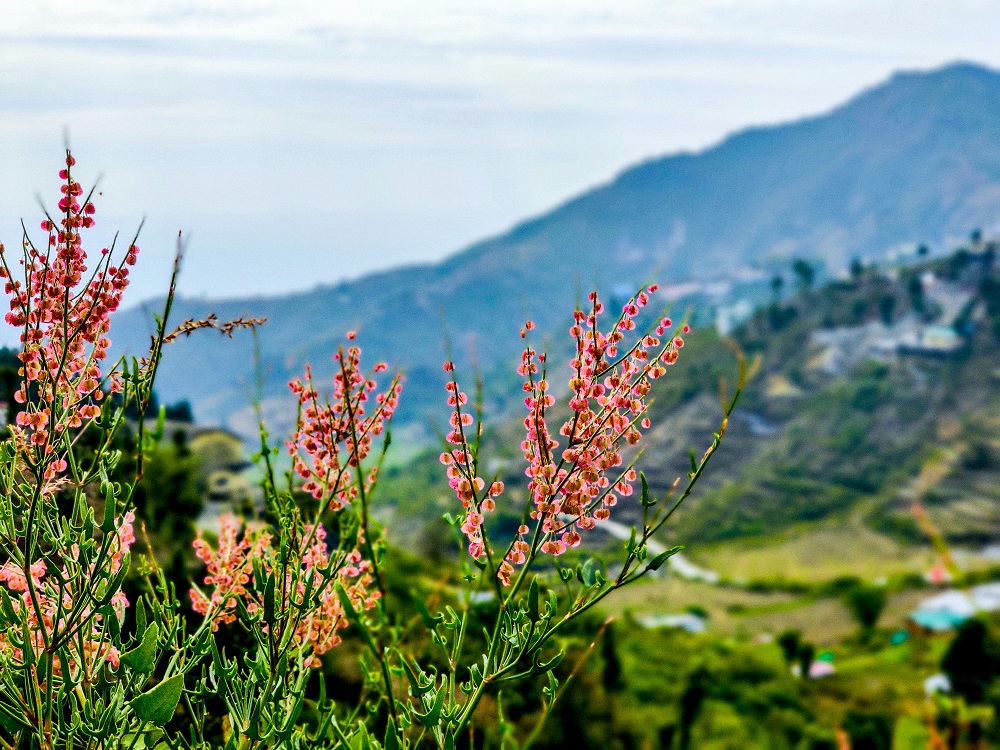 Mussoorie