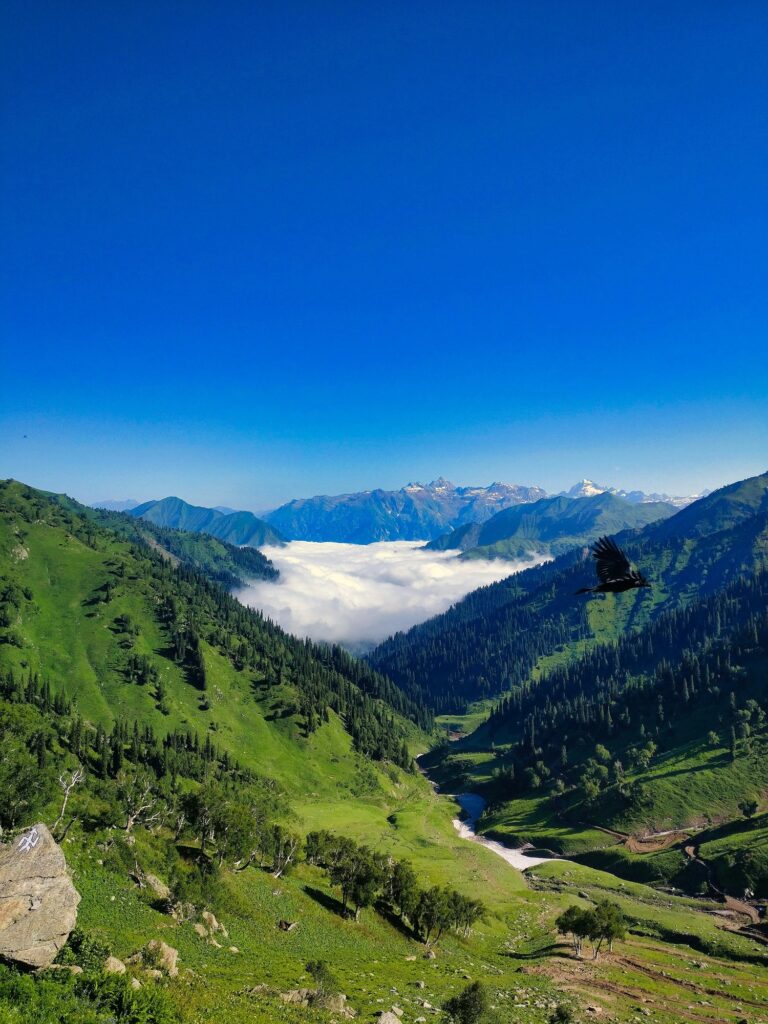 Jammu & Kashmir