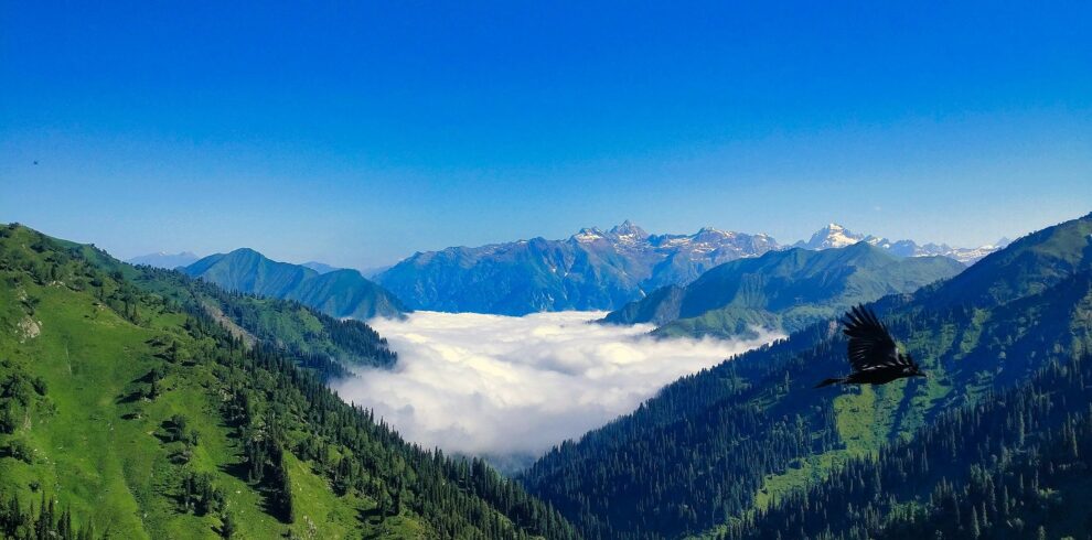 Jammu & Kashmir