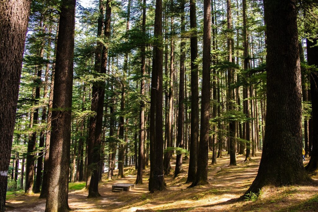 Manali