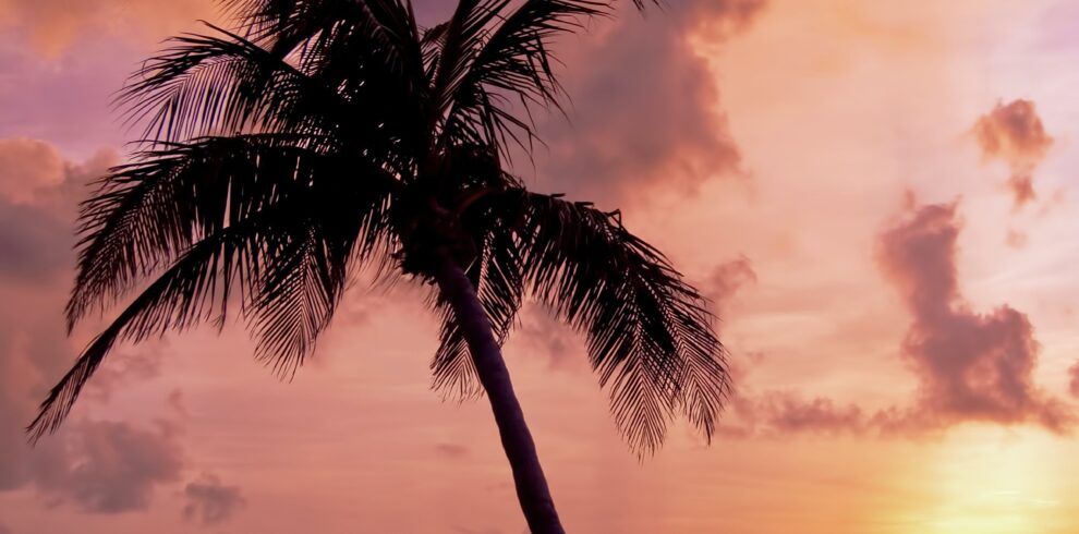 Goa
