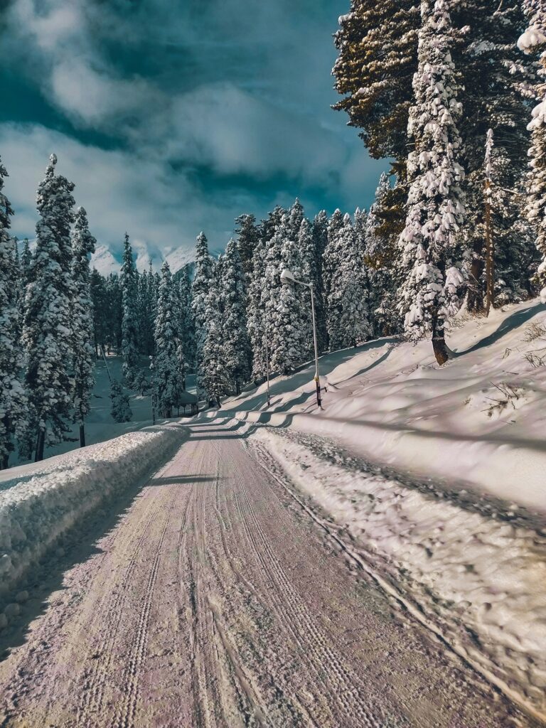 Jammu & Kashmir